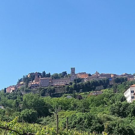 Novecento Daire Bertinoro Dış mekan fotoğraf