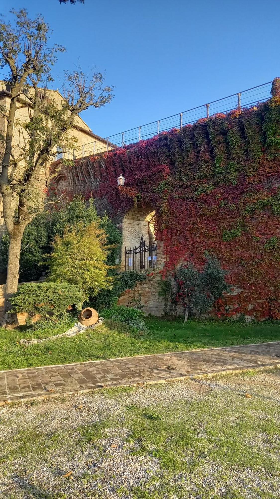 Novecento Daire Bertinoro Dış mekan fotoğraf